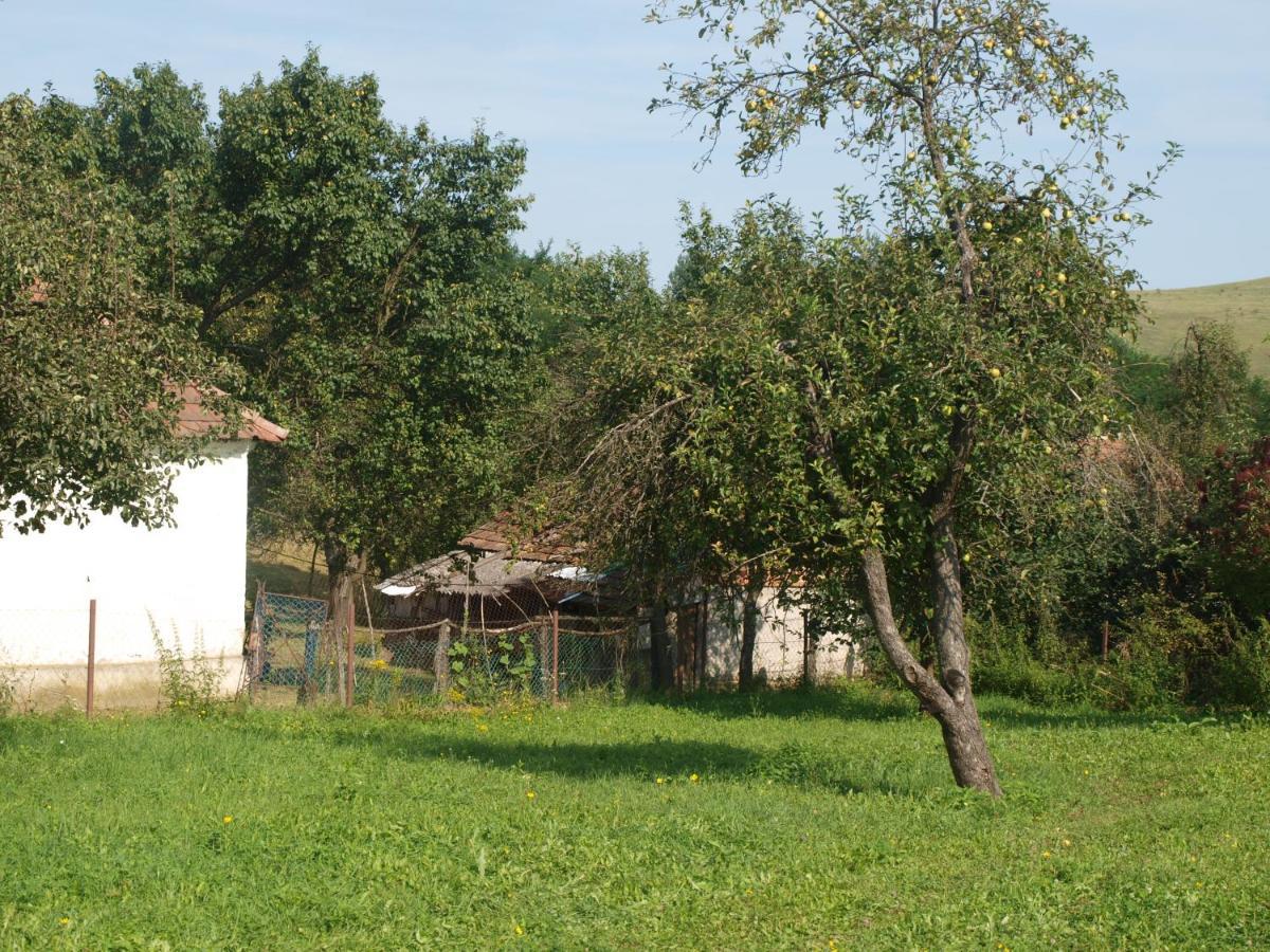 Rozsa Haz Vila Csernely Exterior foto
